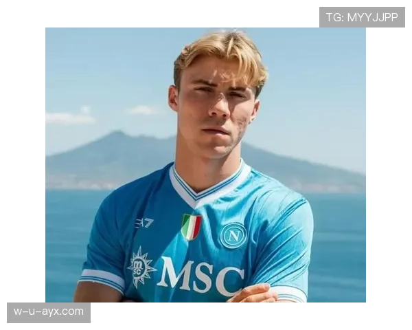 丹麦霍伊伦新星