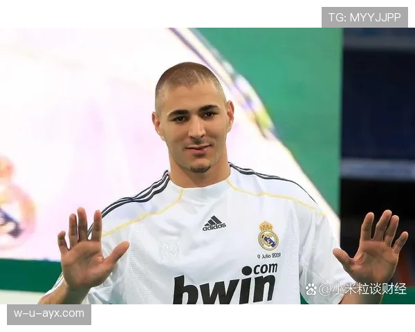 从团队球员到金球先生：本泽马的荣誉跃迁之路